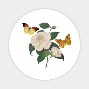 White camellia flowers and butterflies Magnet